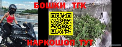 СК Канаш