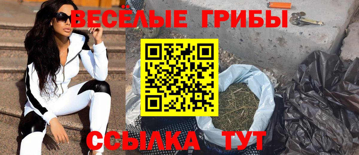 Псилоцибиновые грибы прущие грибы  Вход с VPN  Южно-Сахалинск 